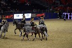 Quadrille - 00729